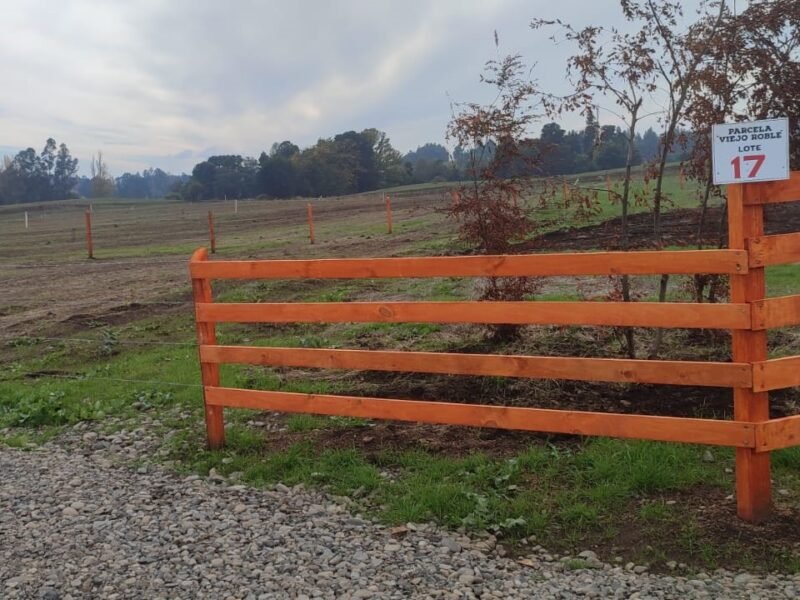 Parcela, Camino Viejo Roble, Lautaro