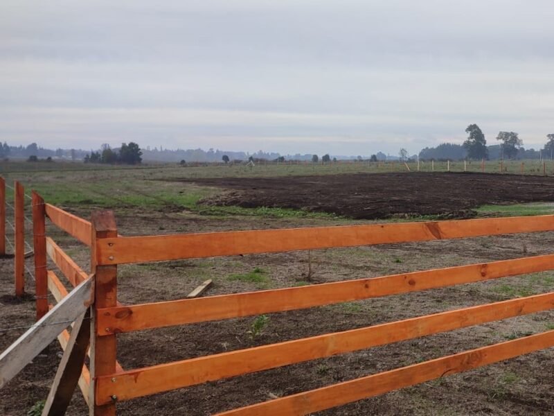 Parcela, Camino Viejo Roble, Lautaro