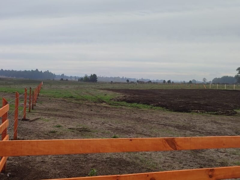 Parcela, Camino Viejo Roble, Lautaro