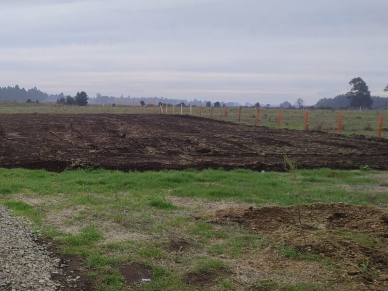 Parcela, Camino Viejo Roble, Lautaro