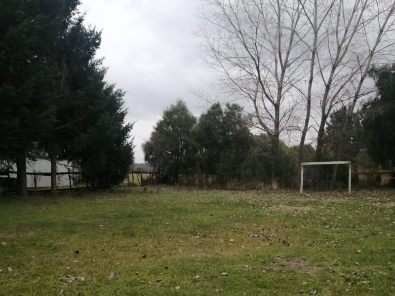 Parcela hacia Cherquenco, Lautaro