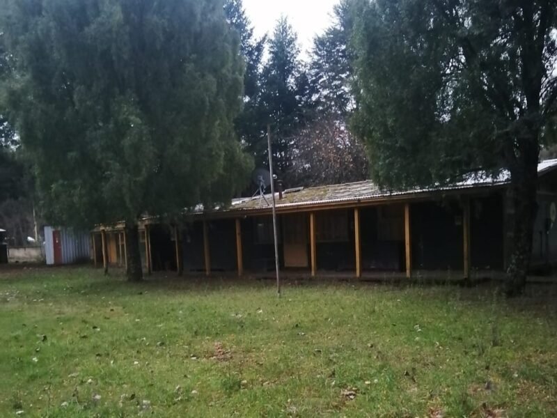 Parcela hacia Cherquenco, Lautaro