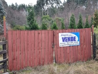 Parcela, camino hacia Cherquenco