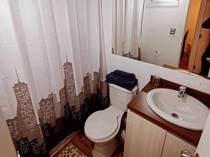 Pucón, Variante Camino Internacional 1265