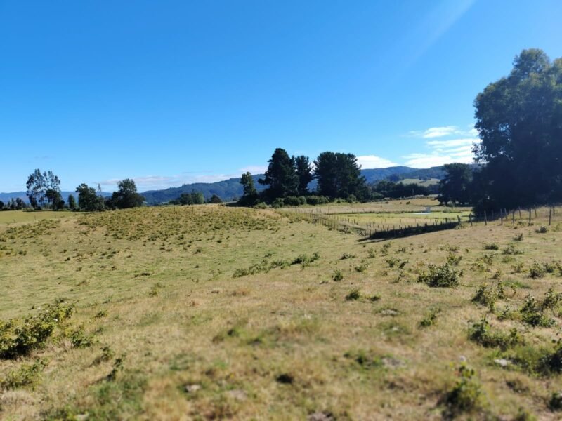 Parcelas de Agrado, Teodoro Schmidt