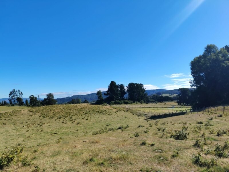 Parcelas de Agrado, Teodoro Schmidt