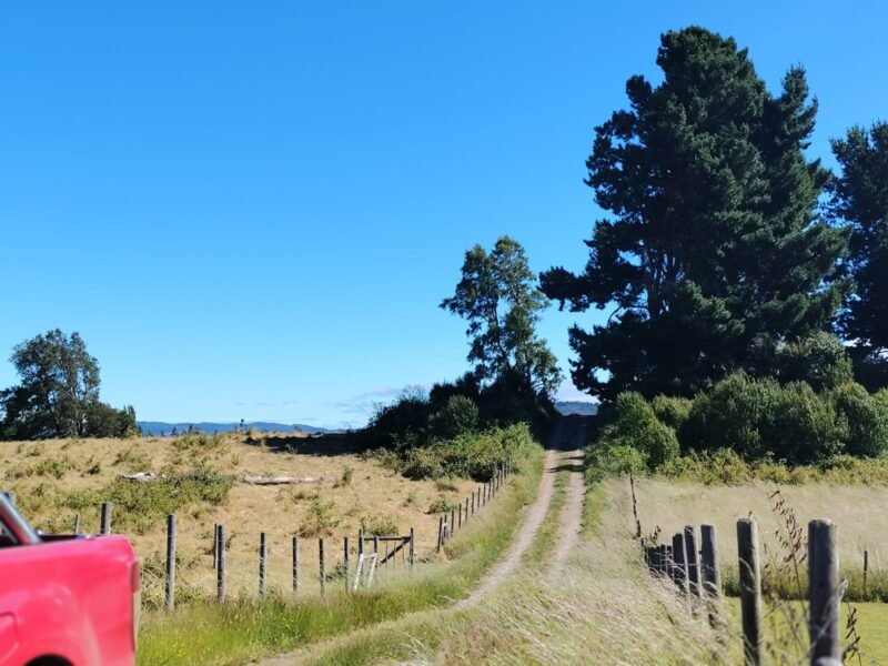 Parcelas de Agrado, Teodoro Schmidt