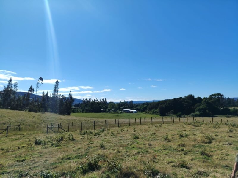 Parcelas de Agrado, Teodoro Schmidt