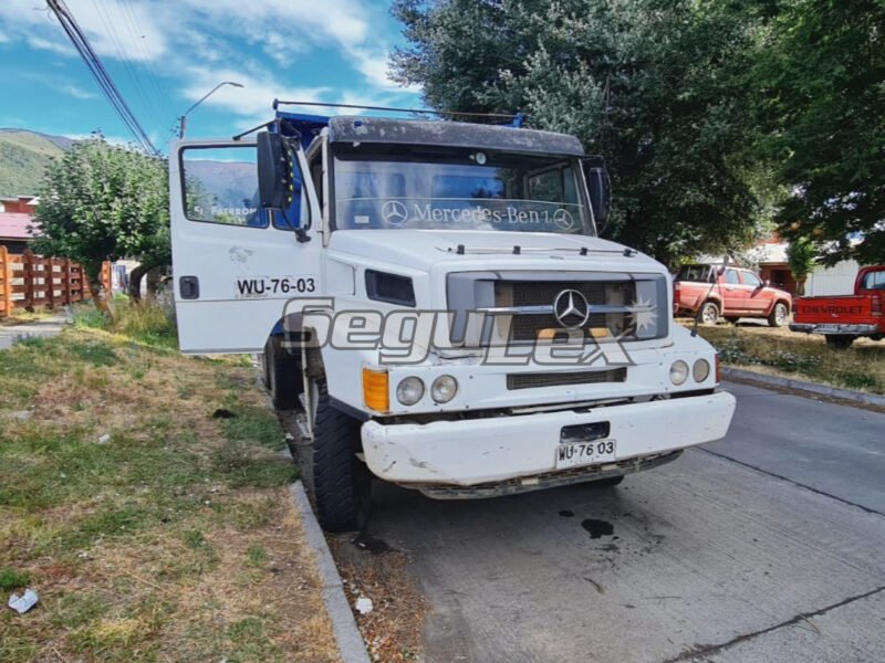 Camión Mercedes Benz año 2007