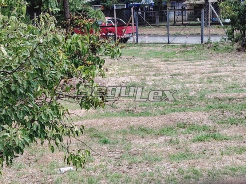 Sitio urbano de 900 m² en Pillanlelbún